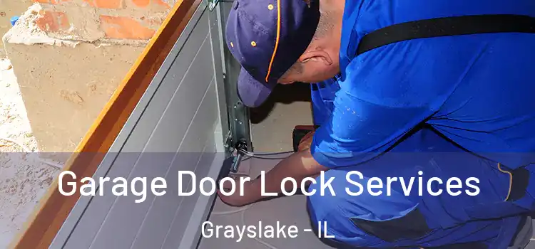 Garage Door Lock Services Grayslake - IL