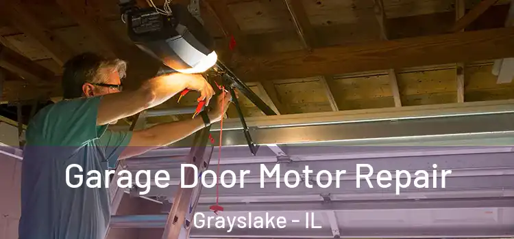  Garage Door Motor Repair Grayslake - IL