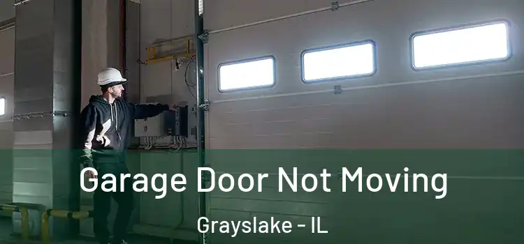  Garage Door Not Moving Grayslake - IL