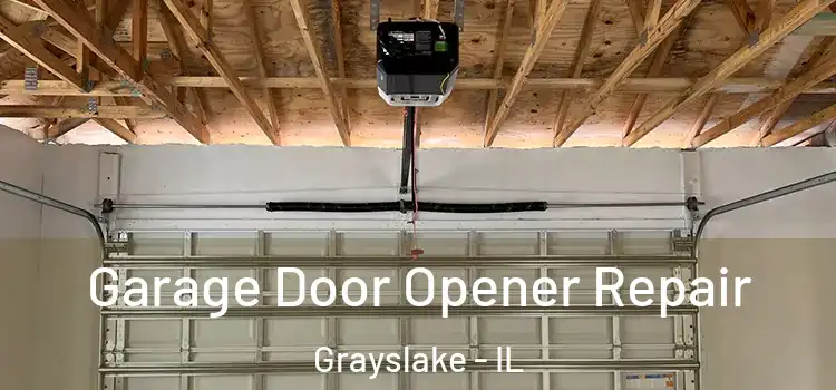  Garage Door Opener Repair Grayslake - IL