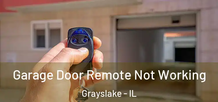 Garage Door Remote Not Working Grayslake - IL