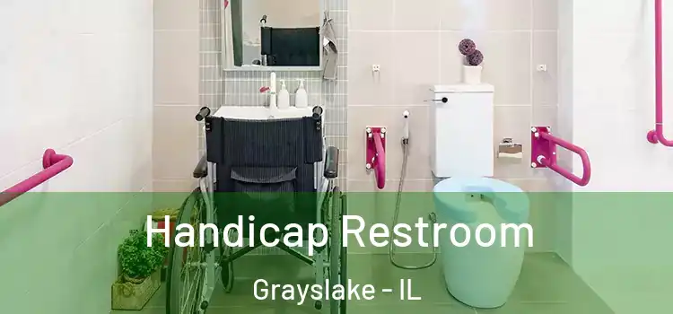 Handicap Restroom Grayslake - IL