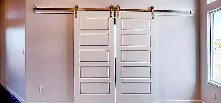 Glass Barn Door with Installation Hardware Kit Grayslake