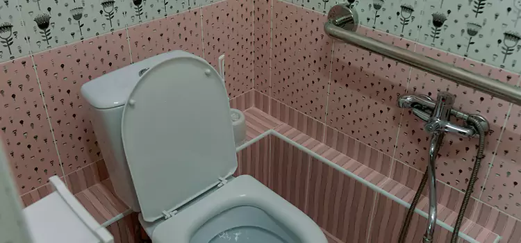 Meeting Diverse Needs With Accessible Restroom Solutions in Grayslake, IL