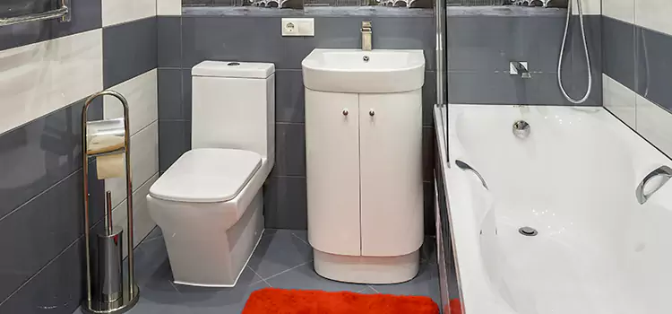 Hansgrohe Shaving Mirror Grayslake