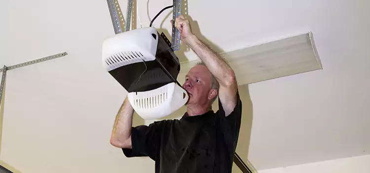 Garage Door Opener Service Grayslake
