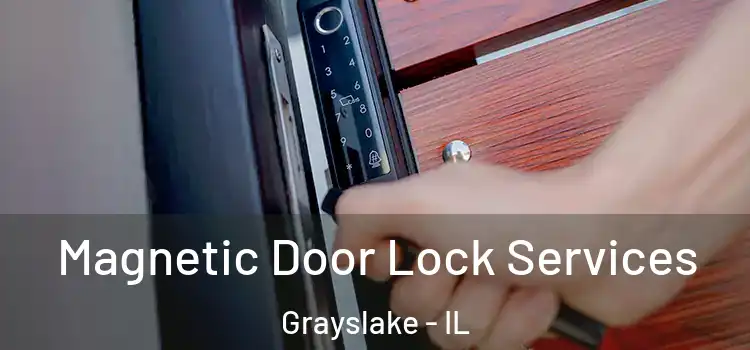 Magnetic Door Lock Services Grayslake - IL