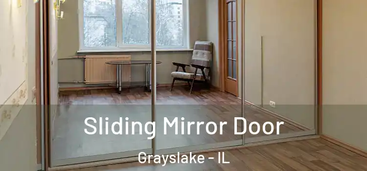  Sliding Mirror Door Grayslake - IL